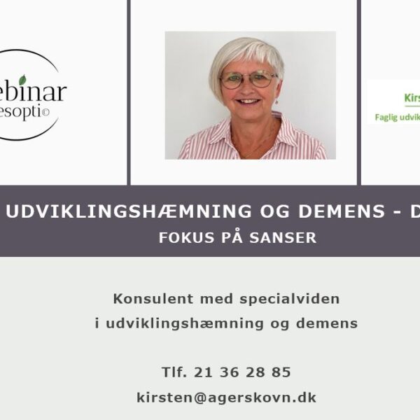 Udviklingshæmning og demens – fokus på sanser – Del 4