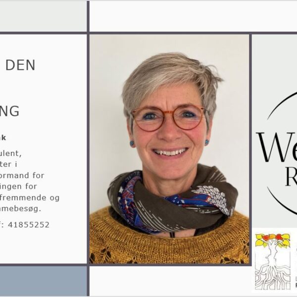 Ældre og den digitale udfordring
